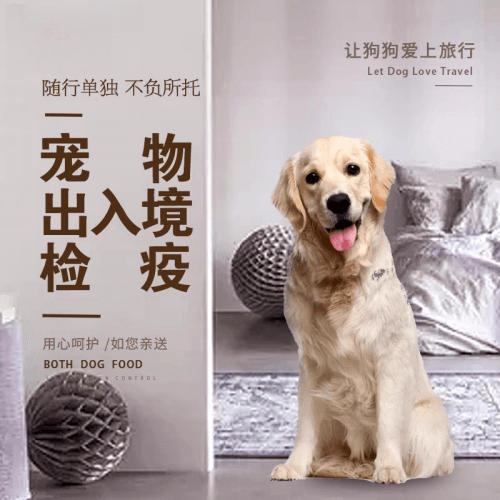 平凉市宠物托运到哥伦比亚猫狗宠物入境规定和