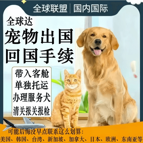 平凉市宠物托运到柬埔寨宠物入境规定和要求