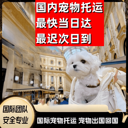 平凉市到澳大利亚（澳洲）宠物入境规定和要求