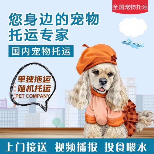 满财平凉市宠物全球达宠物托运作为专业的宠物运输代理机构